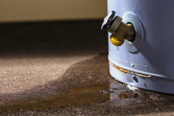 Best Water damage cleanup near me  in Inola, OK