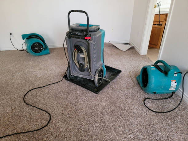 Best Professional water damage repair  in Inola, OK