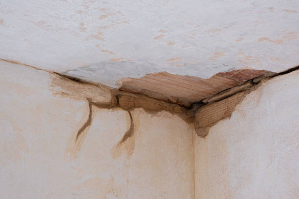 Best Water damage restoration services  in Inola, OK
