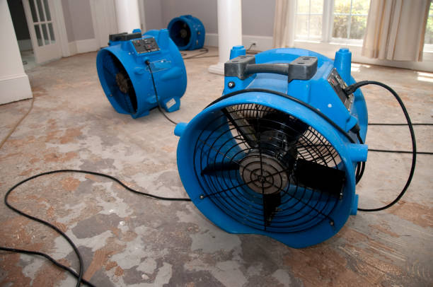 Best Fire Damage Restoration  in Inola, OK