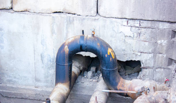 Best Professional water damage repair  in Inola, OK