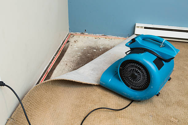 Best 24/7 water damage repair  in Inola, OK